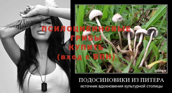гидра Алексеевка