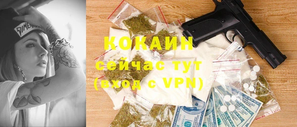 гидра Алексеевка